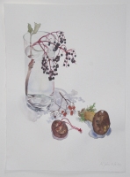 Holunderzweig, Marone und Kastanienkrbchen, 2013, Aquarell und Graphit auf Hadern