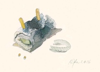 Aus den Miniaturen: Rollmops mit Zwiebelring, 2006, Aquarell